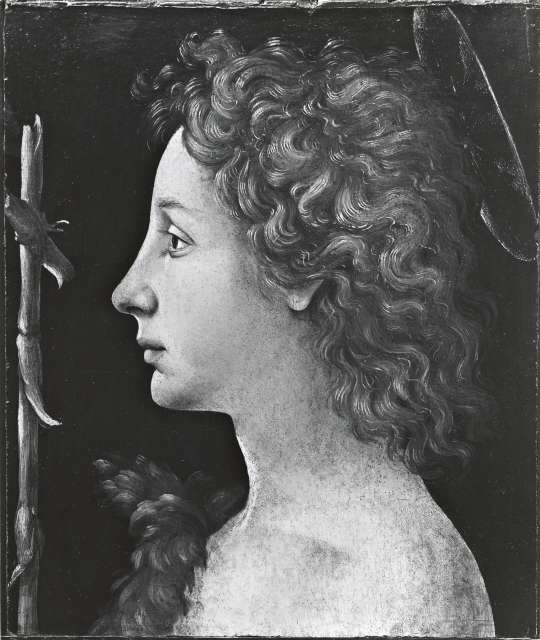 The Metropolitan Museum of Art — Piero di Cosimo. The Young St. John the Baptist — insieme